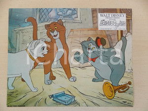 Materiale cinematografico d’epoca 1970 GLI ARISTOGATTI Walt DISNEY  Romeo, Duchessa e Scat cat Lobby card 28x23 1