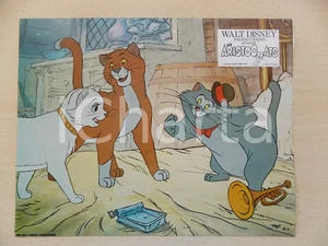 Materiale cinematografico d’epoca 1970 GLI ARISTOGATTI Walt DISNEY  Romeo, Duchessa e Scat cat Lobby card 28x23 1