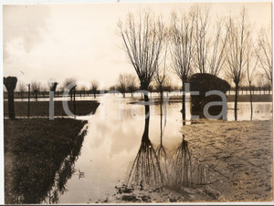 Fotografia d epoca originale 1975 MONSELICE Panorama con risaie e filari di gelsi Foto artistica 24x18 cm 1