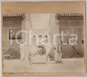 Fotografia d epoca originale 1909 LAOS ? Ufficiale Joseph CORDIAT a cavallo di un pony  Foto CURIOSA 21x19 1