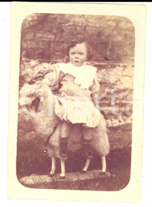 Fotografia d epoca originale 1930 ca BELGIQUE Bambina seduta su una pecora giocattolo Foto CURIOSA 9x12 1