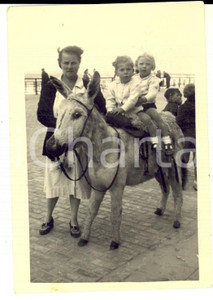 Fotografia d epoca originale 1946 BELGIQUE Ritratto di due bambini su un asinello  Foto VINTAGE 7x9 cm 1
