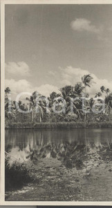 Fotografia d epoca originale 1937 TUPAI Polinesia Francese Veduta dell interno REAL PHOTO cm 13,5 x 8,5 1