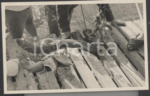 Fotografia d epoca originale 1937 BORA BORA Polinesia Il profitto di una buona pesca  PHOTO cm 13,5 x 8,5 1