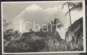 Fotografia d epoca originale 1937 BORA BORA Polinesia Interni dell isola  PHOTO cm 13,5 x 8,5 1
