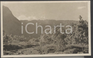 Fotografia d epoca originale 1937 TAHITI Polinesia Francese Interno dell isola REAL PHOTO cm 13,5 x 8,5 1