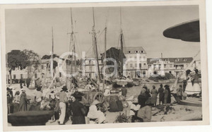 Fotografia d epoca originale 1937 PointeÃ Pitre Guadalupa  Il porto  REAL PHOTO cm 13,5 x 8,5 1