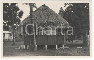 Fotografia d epoca originale 1937 HUAHINE Polinesia Un bungalow turistico 2 REAL PHOTO cm 13,5 x 8,5 1