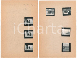 Fotografia d epoca originale 1957 TRIESTE Foto di famiglia al porto  7 provini fotografici 16x25 cm 1