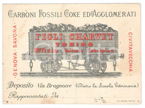 Oggetto da collezione cartaceo 1891 TORINO Galleria Subalpina  Figli CHARVET Carboni fossili Biglietto 1
