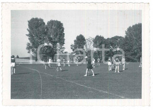Fotografia d epoca originale 1953 MARCELLUS NY Marcellus Central High School  Sport all aperto Foto 13x9 1
