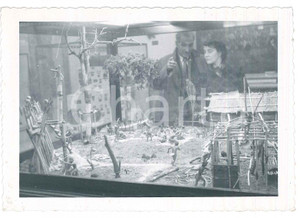 Fotografia d epoca originale 1953 BUFFALO NY History Museum  Villaggio indiano Foto 13x9 cm 1