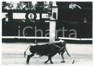 1970 ca ESPAÑA - Corrida - Incidente torero Sebastián Martin "Chanito" Foto (4)