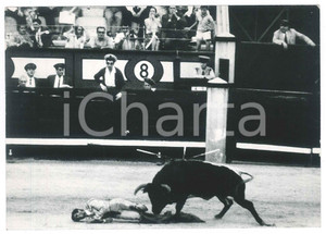 1970 ca ESPAÑA - Corrida - Incidente torero Sebastián Martin "Chanito" Foto (3)
