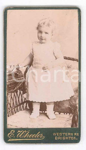 Fotografia d epoca originale 1900 ca BRIGHTON UK Little girl on a chair  Portrait Photo E. WHEELER 4x7 cm 1