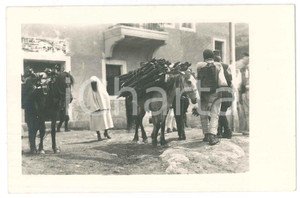 Fotografia d epoca originale 1930 ca ETHNIC TYPES  NORTH AFRICA  Pack animals ANIMATED Photo 14x9 cm 1