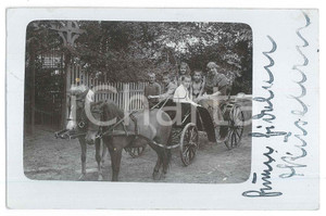 Fotografia d epoca originale 1912 BURG ZIESAR D Donna con bambini su un calesse  Foto anonima 14x9 cm 1