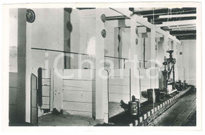 Cartolina originale da collezione 1950 ca NETHERLANDS Koestal  Cowhouse in summer DAMAGED postcard 1