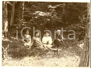 Fotografia d epoca originale 1925 GRANDOLA ED UNITI Donne in gita in un bosco con il gatto Foto VINTAGE 1