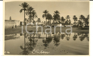 Fotografia d epoca originale 1925 ca ZLITEN LIBIA Una veduta dell oasi  Foto cartolina VINTAGE ANIMATA 1