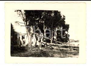 Fotografia d epoca originale 1944 WW2 AREA DI ALESSANDRIA Parco colpito da un bombardamento Foto 10x7 1