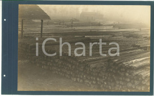 Fotografia d epoca originale 1920 ca CERIANO LAGHETTO Ditta TRANQUILLO ROSSI  Tronchi accatastati Foto 1