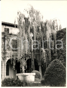 Fotografia d epoca originale 1970 ca VERONA Cortile di una villa con antico pozzo Foto ARTISTICA 18x24 cm 1