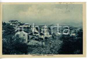 Cartolina originale da collezione 1944 CASTAGNETO PO TO Veduta panoramica Cartolina VINTAGE  FP VG 1