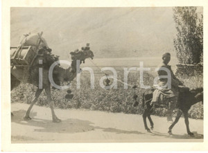 Fotografia d epoca originale 1932 PAMIR Occidentale URSS Trasporto su dromedario Foto 19x14 cm 1