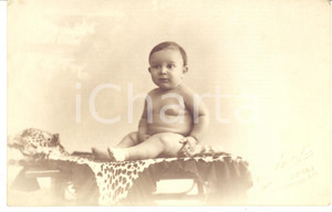 Fotografia d epoca originale 1920 ca NAPOLI Ritratto di bambino su pelle di leopardo  Foto cartolina A. BEUF 1