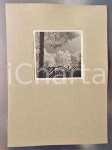 Fotografia d epoca originale 1936 BAD GASTEIN AUSTRIA Veduta innevata Foto con passepartout 24x34 cm 1