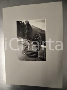Fotografia d epoca originale 1949 DOBBIACO VECCHIA  Margini di bosco Foto con passepartout 24x34 cm 1