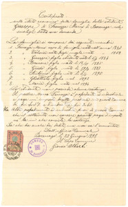 Documento originale, autentico 1898 BOCENAGO TN Stato economico famiglia dello studente Giuseppe FERRAZZA 1