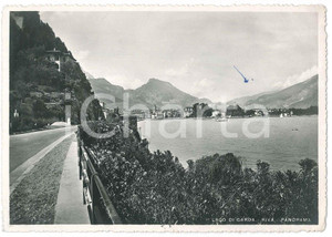 Cartolina originale da collezione 1950 ca RIVA DEL GARDA Panorama con il Lago di Garda  Cartolina FG VG 1