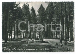 Cartolina originale da collezione 1956 SANTO STEFANO IN ASPROMONTE RC La Pineta di Gambarie  Cartolina FG VG 1