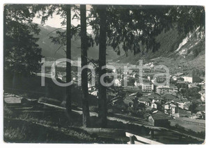 Cartolina originale da collezione 1952 PREDAZZO TN Panorama di Predazzo in Val di Fiemme  Cartolina FG VG 1