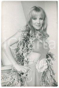 Fotografia d epoca originale 1970 ca COSTUME ITALIA Antonella LUALDI  Ritratto con stola  Foto 20x30 cm 1