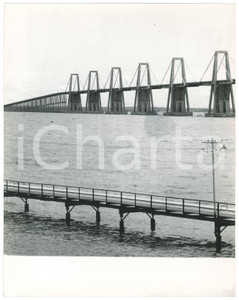 Fotografia d epoca originale 1965ca VENEZUELA Ponte Morandi Foto ARTISTICA VINTAGE cm 27x21 1
