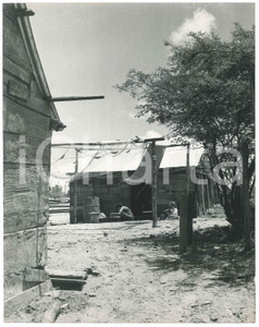 Fotografia d epoca originale 1965ca VENEZUELA scorci di vita 7 Foto ARTISTICA VINTAGE cm 27x21 1