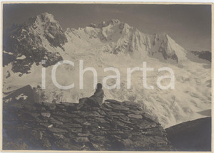 Fotografia d epoca originale 1940 ca MONTE SISSONE / VAL MALENCO Veduta del Monte Disgrazia Foto ANIMATA 1