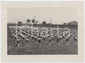 Fotografia d epoca originale 1940 ca ITALIA  Balilla  Esercizi ginnici in campagna 4 Foto 23x17 cm 1