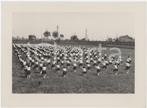 Fotografia d epoca originale 1940 ca ITALIA  Balilla  Esercizi ginnici in campagna 2 Foto 23x17 cm 1