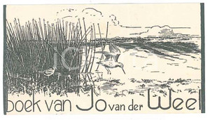 Oggetto da collezione cartaceo 1970 ca Jo VAN DER WEEL  Ex Libris con aironi e stagno 7x4 cm 1