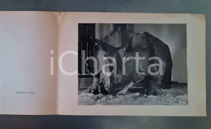 Fotografia d epoca originale 1970 MILANO Museo Storia Naturale  Sala paleontologia Foto su biglietto 31x22 1