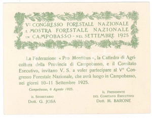 Oggetto da collezione cartaceo 1925 CAMPOBASSO V° Congresso forestale e mostra forestale  Tessera 13x10 cm 1