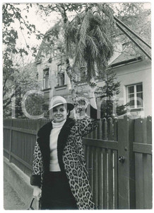 Fotografia d epoca originale 1960 ca WIEN  AUSTRIA Rosanna SCHIAFFINO Ritratto dell attrice  Foto 12x17 cm 1