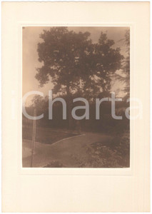 Fotografia d epoca originale 1930 ca TRIESTE ARCHITETTURA Giardino di villetta  Fotografia LUX ET UMBRA 1
