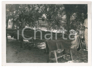 Fotografia d epoca originale 1935 ca MADAGASCAR  AGRICOLTURA  Raccolta della vaniglia  Foto 18x13 1
