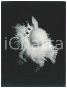 Fotografia d epoca originale 1967 RAI  NEL BOSCO DEGLI ANIMATTI di Tinin MANTEGAZZA Foto 18x24 cm 1