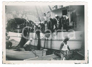 Fotografia d epoca originale 1938 ABBAZIA ISTRIA  COSTUME  Pesca del tonno  Foto 9x7 cm 1